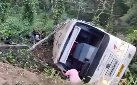 ഇടുക്കിയിൽ കെഎസ്ആർടിസി ബസ് 30 അടിയോളം താഴ്‌ചയിലേക്ക് മറിഞ്ഞു; 4 മരണം