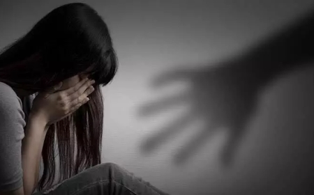 പത്തനംതിട്ട പീഢനം; പ്രത്യേക അന്വേഷണ സംഘത്തെ നിയോഗിച്ചു.