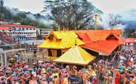 മകരവിളക്ക് ദർശനത്തിനൊരുങ്ങി സന്നിധാനം.