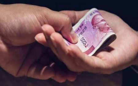 കൈക്കൂലി വാങ്ങുന്നതിനിടെ വില്ലേജ് ഓഫീസർ വിജിലൻസിന്റെ പിടിയിൽ.