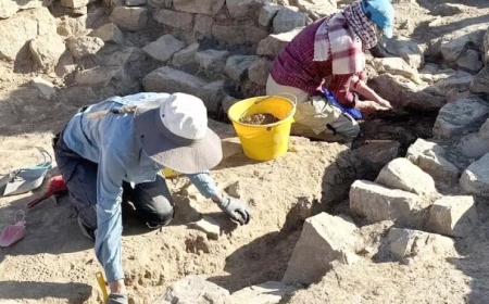 ദാഹിറയിൽ വെങ്കല യുഗത്തിലെ വാസസ്ഥലം കണ്ടെത്തി.