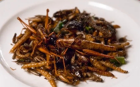 കുവൈറ്റിൽ പ്രാണികളെ ഉപയോഗിച്ചുള്ള ഭക്ഷ്യ ഉൽപ്പന്നങ്ങൾ നിരോധിച്ചു.