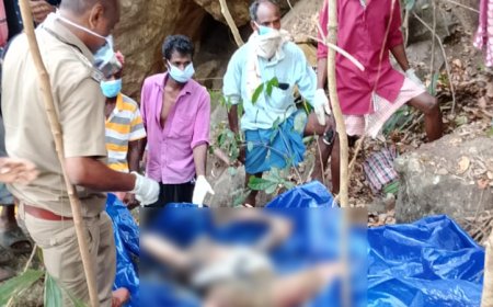 ആരോഗ്യപ്പച്ചയെ ലോകത്തിന് പരിചയപ്പെടുത്തിയ ആദിവാസികളിലൊരാളായ ഈച്ചൻ കാണി കാട്ടിൽ മരിച്ച നിലയിൽ.