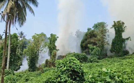 കണ്ണൂര്‍ ജില്ലാ അതിര്‍ത്തിയിലെ വാഴമലയില്‍ വന്‍ തീപിടുത്തം. 50 ഏക്കറോളം കൃഷി ഭൂമി കത്തിനശിച്ചു.