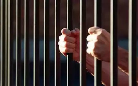 മഞ്ചേശ്വരത്ത് പത്ത് ലക്ഷത്തിന്റെ ഡയമണ്ട് ആഭരണം മോഷണം നടത്തിയ വീട്ടുജോലിക്കാരി പോലീസ് പിടിയിൽ.