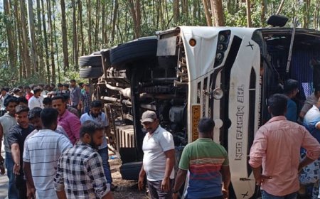 മൂന്നാർ മാട്ടുപെട്ടിയിൽ ടൂറിസ്റ്റ് ബസ് മറിഞ്ഞ് രണ്ട് മരണം.