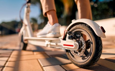 ഇ-സ്കൂട്ടറുകളും, സൈക്കിളുകളും ഉൾപ്പെട്ട 254 റോഡപകടങ്ങളിൽ 10 പേർ മരിക്കുകയും, 259 പേർക്ക് പരിക്കേൽക്കുകയും ചെയ്തതായി ദുബായ് പോലീസ്.