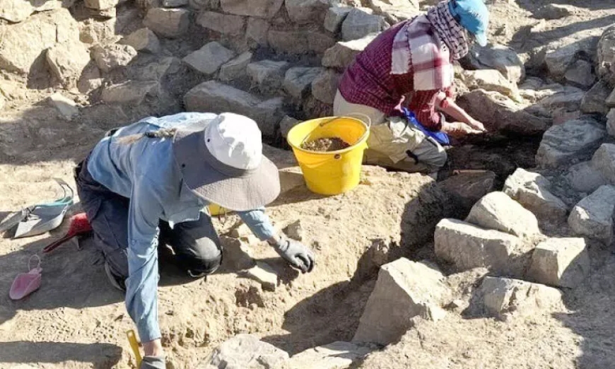 ദാഹിറയിൽ വെങ്കല യുഗത്തിലെ വാസസ്ഥലം കണ്ടെത്തി.