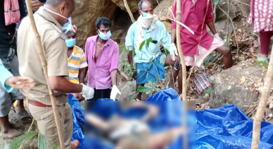 ആരോഗ്യപ്പച്ചയെ ലോകത്തിന് പരിചയപ്പെടുത്തിയ ആദിവാസികളിലൊരാളായ ഈച്ചൻ കാണി കാട്ടിൽ മരിച്ച നിലയിൽ.