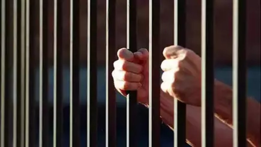 മഞ്ചേശ്വരത്ത് പത്ത് ലക്ഷത്തിന്റെ ഡയമണ്ട് ആഭരണം മോഷണം നടത്തിയ വീട്ടുജോലിക്കാരി പോലീസ് പിടിയിൽ.