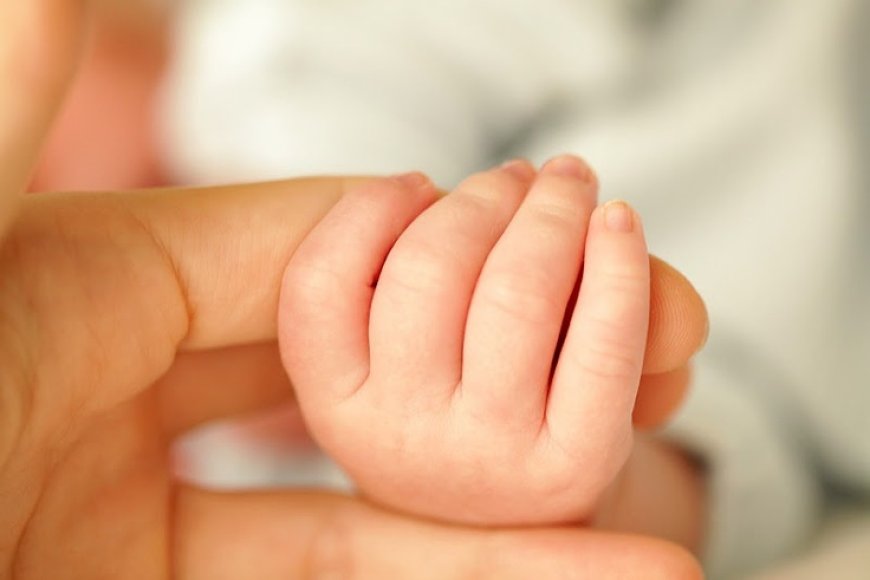 ജാർഖണ്ഡ് സ്വദേശികളായ ദമ്പതികൾ ആശുപത്രി ഐസിയുവിൽ ഉപേക്ഷിച്ച് പോയ നവജാത ശിശുവിനെ സർക്കാർ ഏറ്റെടുത്തു.