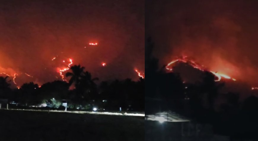 പാലക്കാട് ധോണി വനമേഖലയിൽ കാട്ടുതീ പടരുന്നു.