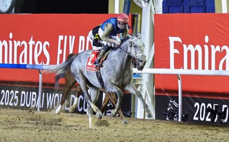 ഹിറ്റ് ഷോ' ദുബായ് വേൾഡ് കപ്പിൽ 12 മില്യൺ ഡോളർ നേടി.