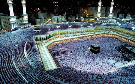 ഇന്ത്യയും പാകിസ്ഥാനും ഉൾപ്പെടെ 14 രാജ്യങ്ങൾക്കുള്ള ഹ്രസ്വകാല വിസകൾ സൗദി അറേബ്യ താൽക്കാലികമായി നിർത്തിവച്ചു.