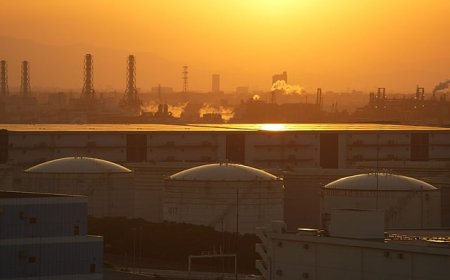 സൗദി അറേബ്യ 14 പുതിയ എണ്ണ, പ്രകൃതി വാതക നിക്ഷേപങ്ങൾ കണ്ടെത്തി.