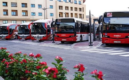 ഈസ്റ്റർ വാരാന്ത്യ ആഘോഷങ്ങൾക്ക് ദുബായ് ആർടിഎ സൗജന്യ ബസ് സർവീസുകൾ പ്രഖ്യാപിച്ചു.