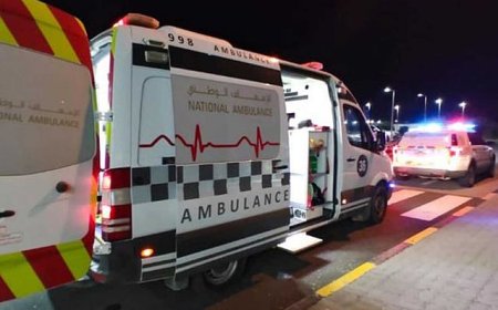 ഷാർജയിൽ കെട്ടിടത്തിന്റെ പതിനേഴാം നിലയിൽ നിന്നും വീണ് അമ്മയും, മകളും മരിച്ചു.