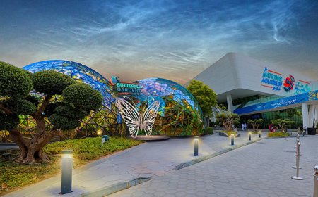 അബുദാബിയിലെ ബട്ടർഫ്ലൈ ഗാർഡൻസ് സെപ്റ്റംബറിൽ തുറക്കും.