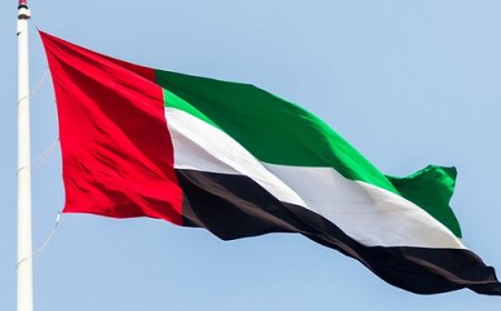 സുഡാൻ സൈന്യവുമായി ബന്ധപ്പെട്ട പ്രധാന ആയുധക്കടത്ത് പദ്ധതി യുഎഇ തകർത്തു.