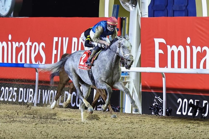 ഹിറ്റ് ഷോ' ദുബായ് വേൾഡ് കപ്പിൽ 12 മില്യൺ ഡോളർ നേടി.