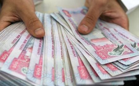 പണമയച്ചതിൽ കൈയബദ്ധം; അനുകൂല വിധിയുമായി അൽ ഐൻ കോടതി.