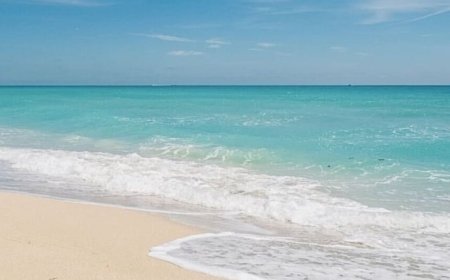 ലോകത്തിലെ ഏറ്റവും മികച്ച 50 ബീച്ചുകളുടെ പട്ടികയിൽ അബുദാബിയിലെ സാദിയാത്ത് ബീച്ച് ഇടം നേടി.