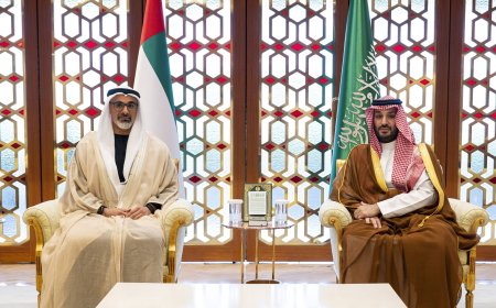 റിയാദിൽ നടക്കുന്ന ഗൾഫ്-യുഎസ് ഉച്ചകോടിക്കിടെ അബുദാബി കിരീടാവകാശി സൗദി കിരീടാവകാശിയെ കണ്ടു.