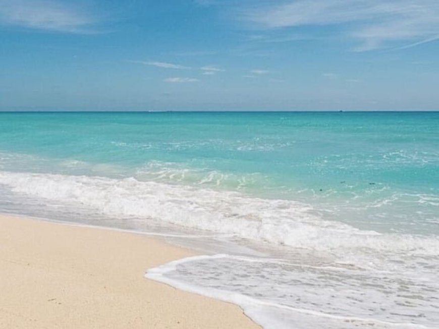 ലോകത്തിലെ ഏറ്റവും മികച്ച 50 ബീച്ചുകളുടെ പട്ടികയിൽ അബുദാബിയിലെ സാദിയാത്ത് ബീച്ച് ഇടം നേടി.