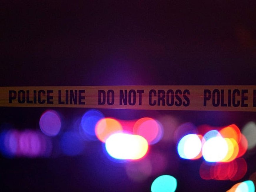 റാസൽഖൈമയിൽ വെടിയേറ്റ് മൂന്ന് സ്ത്രീകൾക്ക് ദാരുണാന്ത്യം.