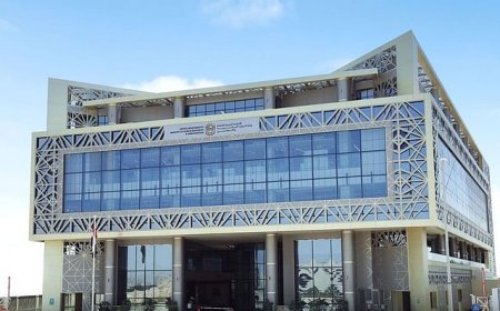 വിദേശ തൊഴിലാളികളെ വേഗത്തിൽ നിയമിക്കുന്നതിനായി യുഎഇ പുതിയ വർക്ക് പെർമിറ്റ് സേവനം ആരംഭിച്ചു.