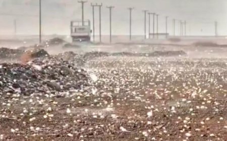 അൽ ഐനിൽ ആലിപ്പഴ വർഷം.