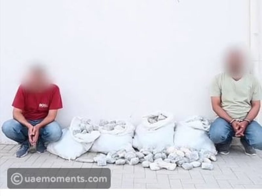 ഷാർജയിൽ 19 ദശലക്ഷത്തിന്റെ മയക്കുമരുന്ന് പിടികൂടി.