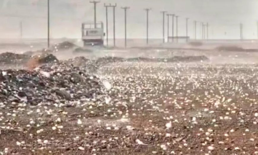 അൽ ഐനിൽ ആലിപ്പഴ വർഷം.