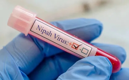 പാലക്കാട് 38 കാരിക്ക് നിപ സ്ഥിരീകരിച്ചു; നൂറിലധികം പേർ ഹൈറിസ്ക് സമ്പർക്ക പട്ടികയിൽ.