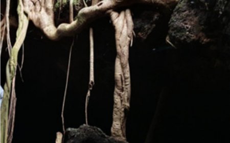 വിനോദസഞ്ചാരത്തിന്റെ അനന്തസാധ്യതകൾ തുറന്ന്  കുണ്ടറ ഗുഹ.