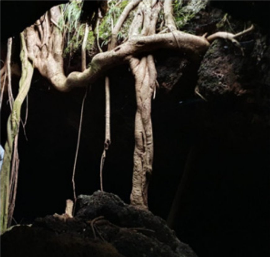 വിനോദസഞ്ചാരത്തിന്റെ അനന്തസാധ്യതകൾ തുറന്ന്  കുണ്ടറ ഗുഹ.