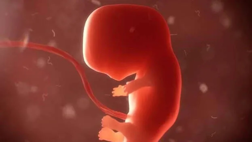 മുപ്പതുകാരിയുടെ കരളിനുള്ളിൽ മൂന്നുമാസം പ്രായമുള്ള ഭ്രൂണം.