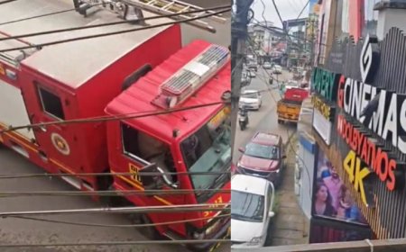 പരസ്യ ബോർഡിൻ്റെ ഗ്രില്ലുകൾക്കിടയിൽ കുരുങ്ങിയ കാക്കയെ ഫയർഫോഴ്സ് രക്ഷപ്പെടുത്തി.