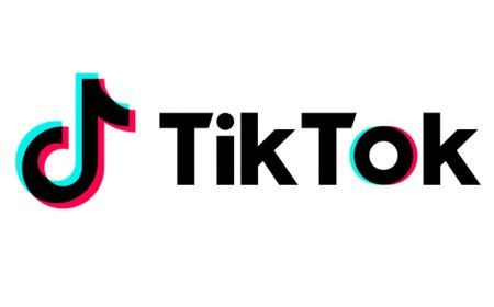 വരുന്നു... വീണ്ടും ടിക് ടോക്.