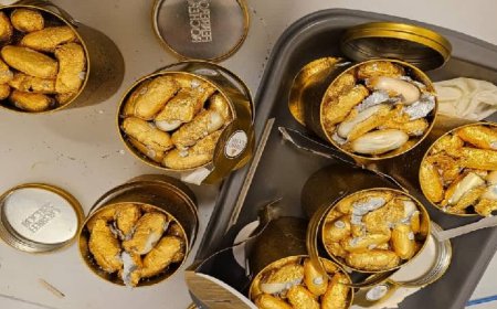 ചെന്നൈ അന്താരാഷ്ട്ര വിമാനത്താവളത്തിൽ 5.618 കിലോഗ്രാം കൊക്കെയ്നുമായി വന്ന രണ്ടുപേര്‍ അറസ്റ്റില്‍.