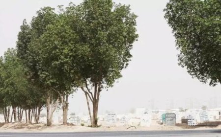 കുവൈത്തിൽ മൃതദേഹം സംസ്കരിക്കുന്നതിന് പുതിയ സമയക്രമം നിലവിൽ വന്നു.