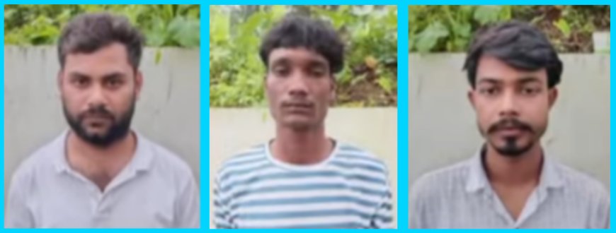 അരക്കോടി രൂപയുടെ കഞ്ചാവുമായി മൂന്നുപേർ പിടിയിൽ.