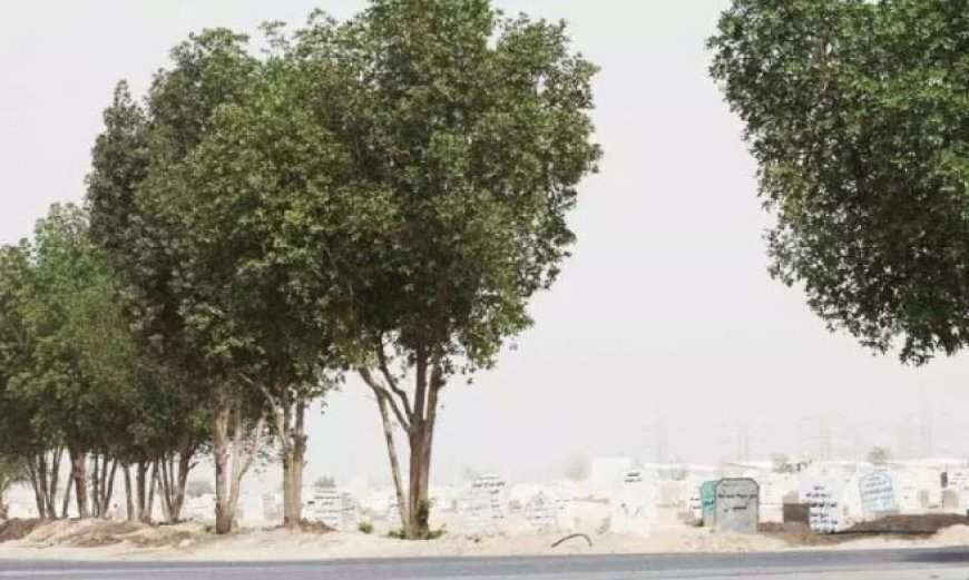 കുവൈത്തിൽ മൃതദേഹം സംസ്കരിക്കുന്നതിന് പുതിയ സമയക്രമം നിലവിൽ വന്നു.