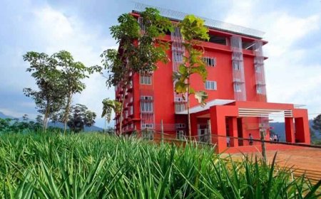 എ ഗ്രേഡ് നേട്ടവുമായി മര്‍കസ് യുനാനി മെഡിക്കൽ കോളേജ്.