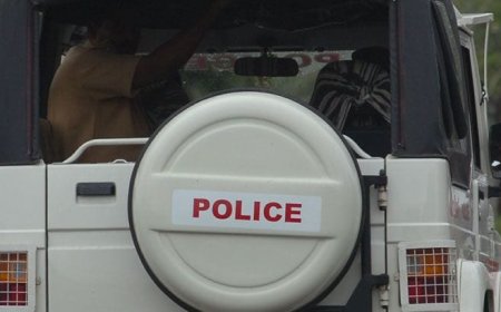 പോക്‌സോ കേസിലെ അതിജീവിതയായ പെണ്‍കുട്ടിയെ ഷെല്‍ട്ടര്‍ ഹോമില്‍ നിന്നും കാണാതായി.