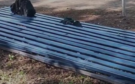 ഗാലറി തകർന്ന് 15 വിദ്യാർത്ഥികൾക്ക് പരിക്ക്.