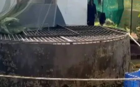 കണ്ണൂരിൽ രണ്ടുമാസം പ്രായമായ കുഞ്ഞിന്റെ മരണം; കൊലപാതകം അമ്മ അറസ്റ്റിൽ.