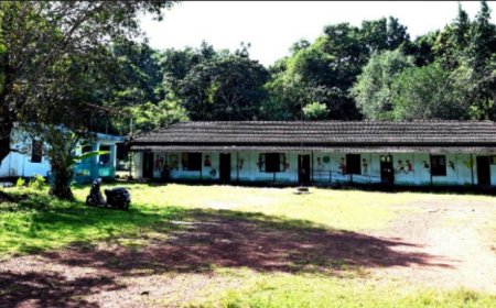 സ്മൃതിവനമൊരുക്കി പെരിയങ്ങാനം ജി എൽ പി സ്കൂൾ.