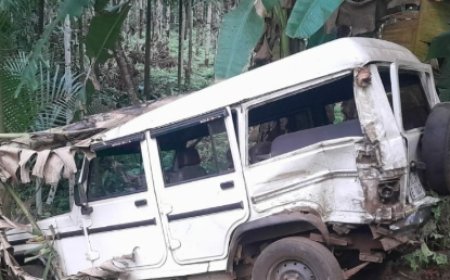 വാഹനമിടിച്ച് അമ്മയ്ക്കും, മകൾക്കും പരിക്കേറ്റു.