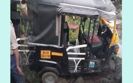 സ്കൂൾ കുട്ടികളുമായി പോയ ഓട്ടോ തോട്ടിലേക്ക് മറിഞ്ഞു; ഒരു കുട്ടി മരിച്ചു. ഒരു കുട്ടിയെ കാണാതായി.